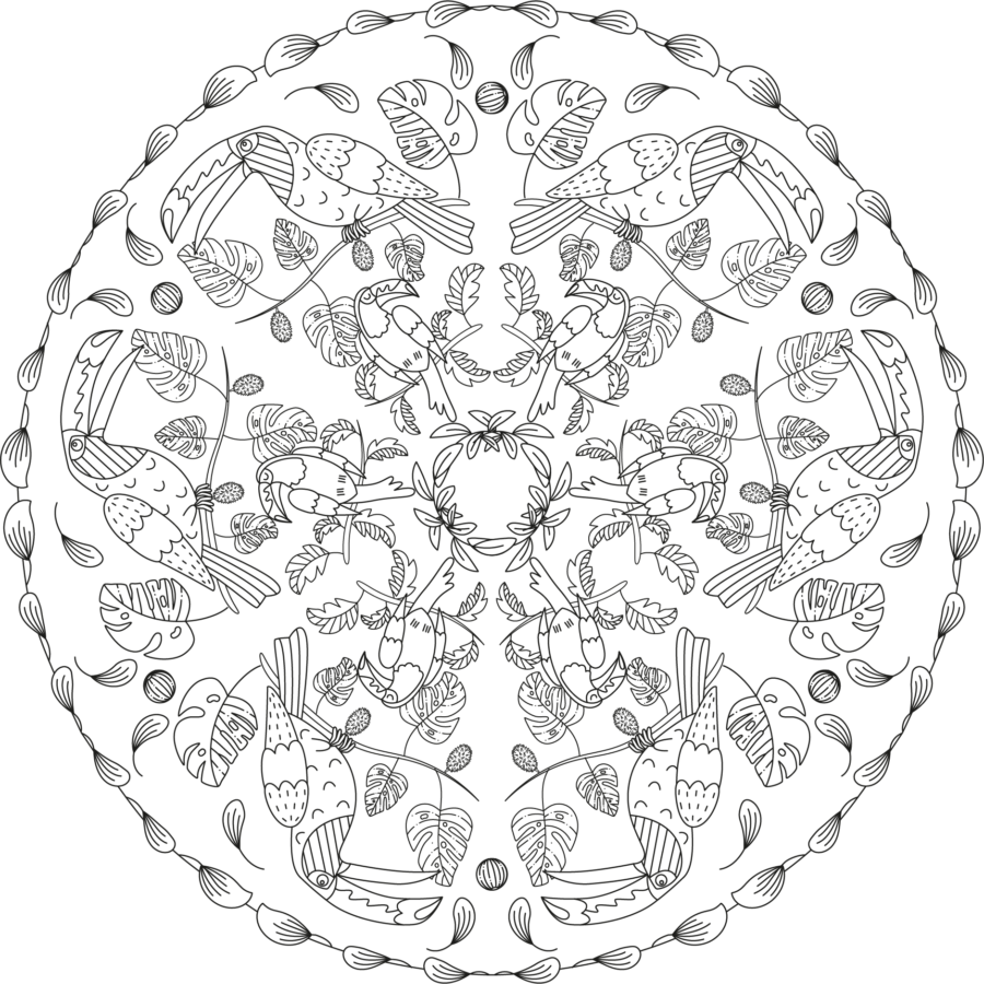Mandala de aves