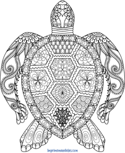 Mandala de Tortuga
