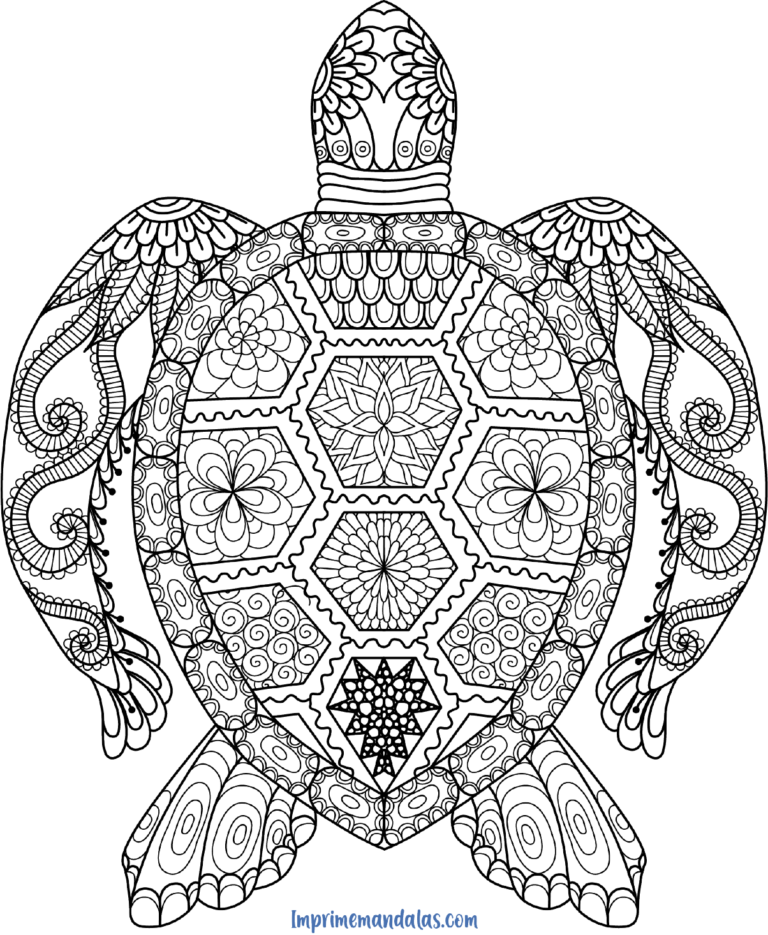 Mandala de Tortuga